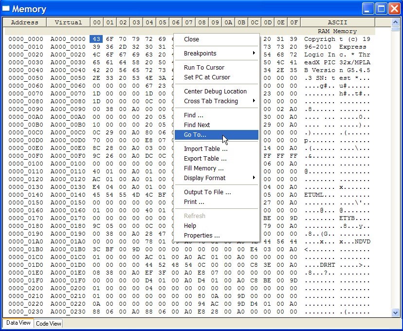 Screenshot of the Memory View with the Go To option selected.