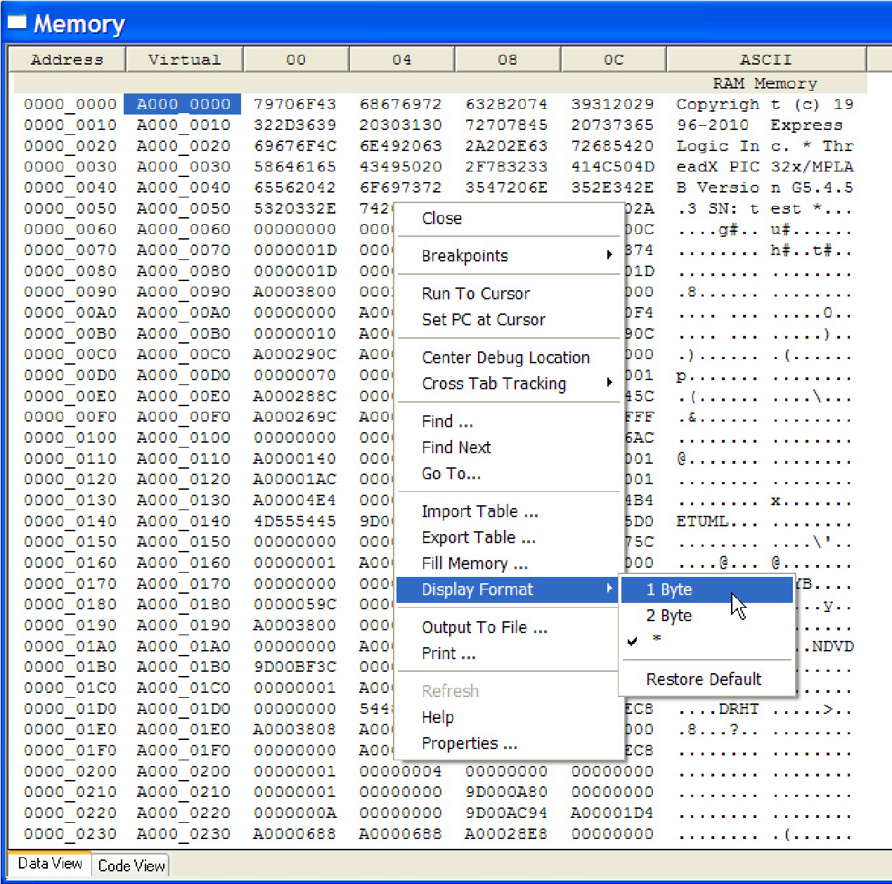 Screenshot of the Memory View with the Display Format option selected.